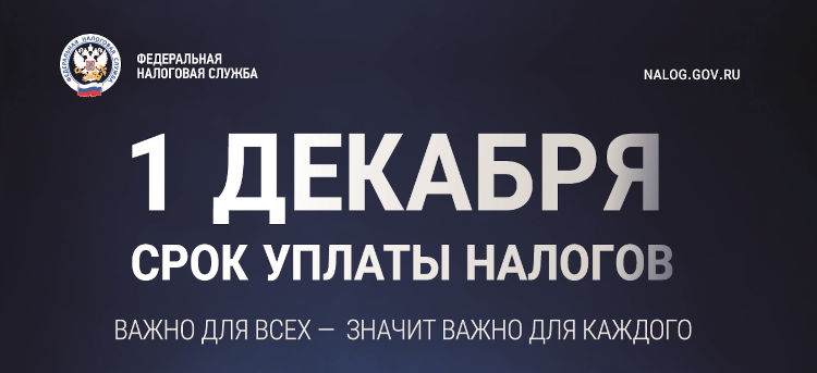 Что нужно знать о налоговых уведомлениях