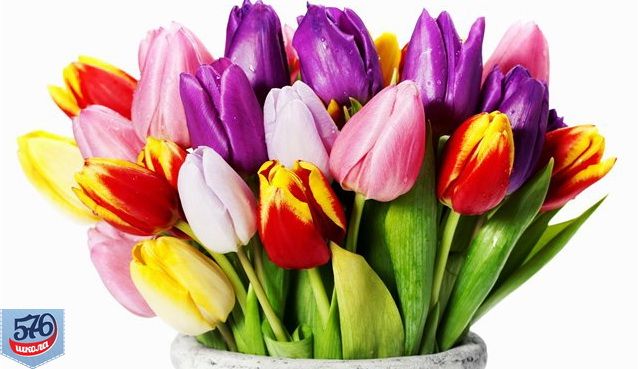 ДОРОГИЕ ЖЕНЩИНЫ, С ПРАЗДНИКОМ 8 МАРТА ВАС!!!