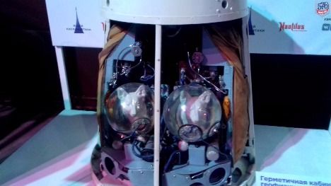 20171115_153911[1].jpg