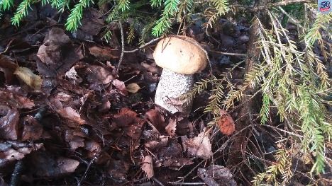 20160823_170755.jpg