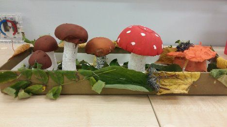 20160922_084153.jpg