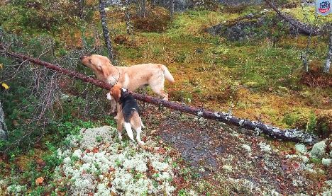 20171008_111031.jpg